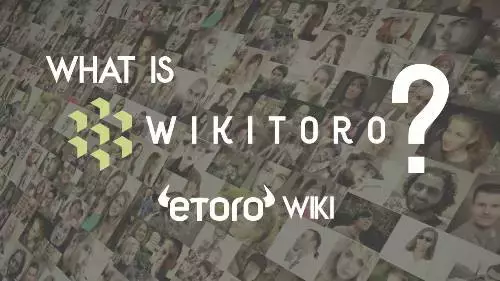 What is Wikitoro video